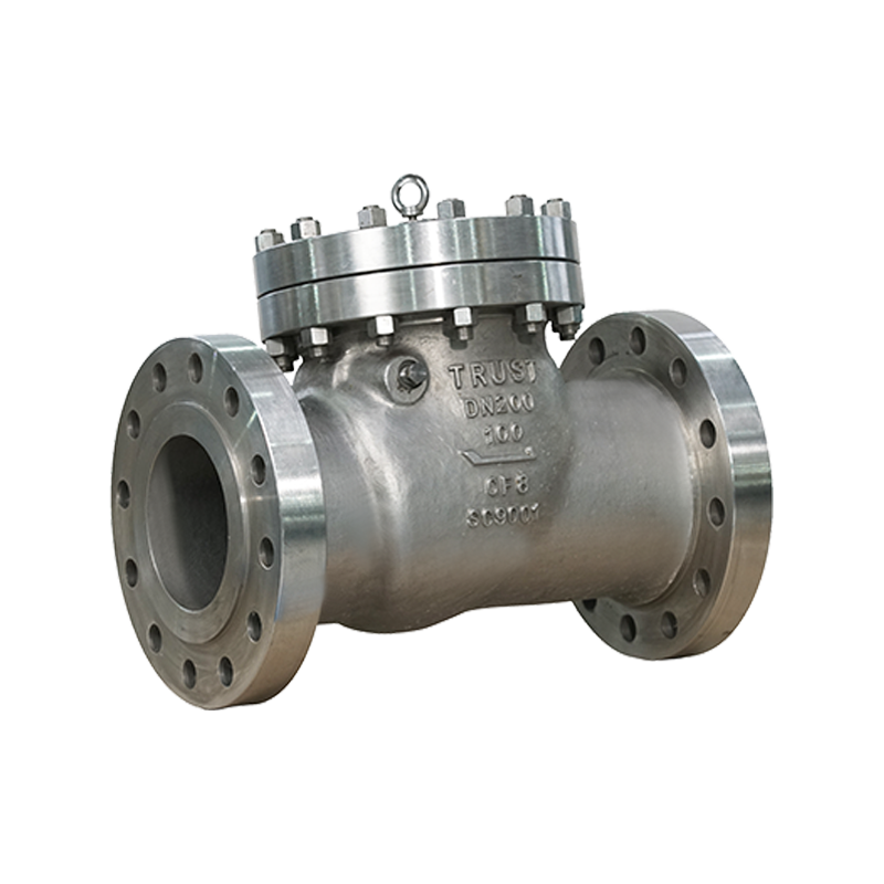 Cryogenic Cast Steel Check Valve