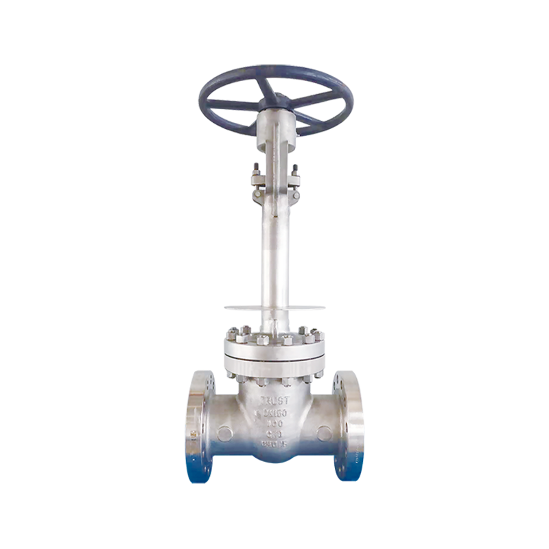 Cryogenic Cast Steel Gate Valve