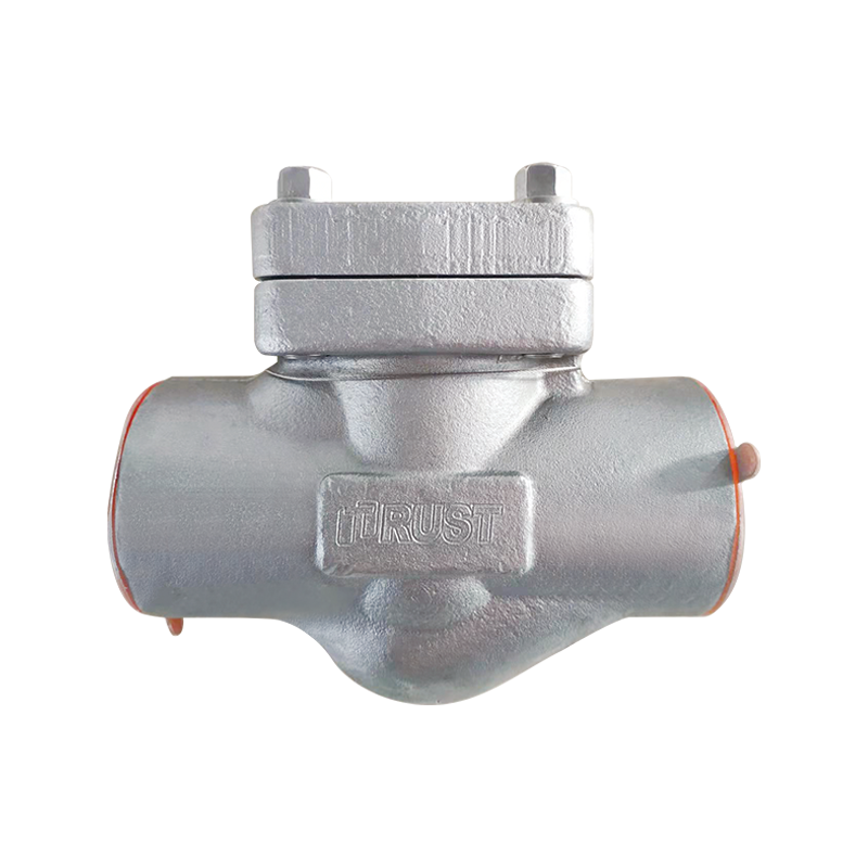 Cryogenic Forged Steel Check Valve