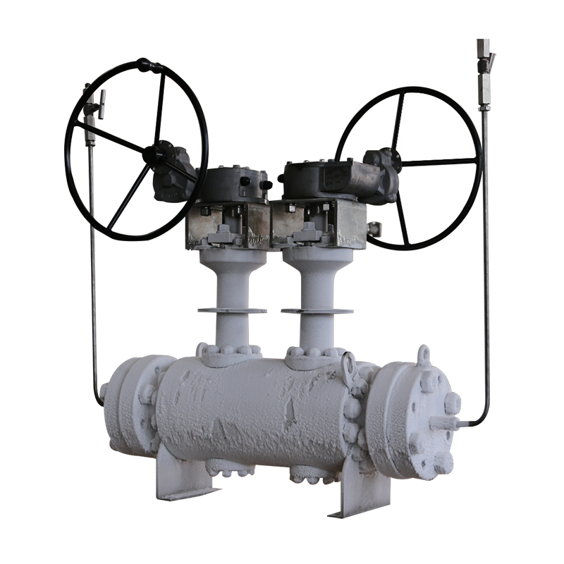 Cryogenic DBB Ball Valve