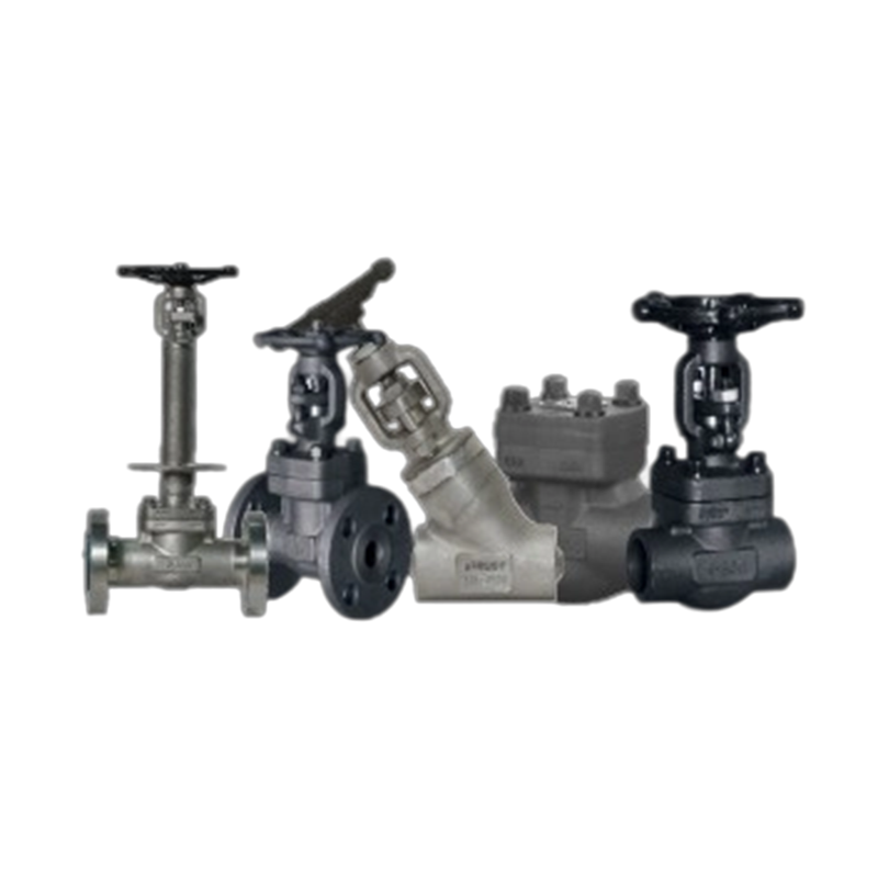 Trust Valve - API 602 Forged Steel Valves