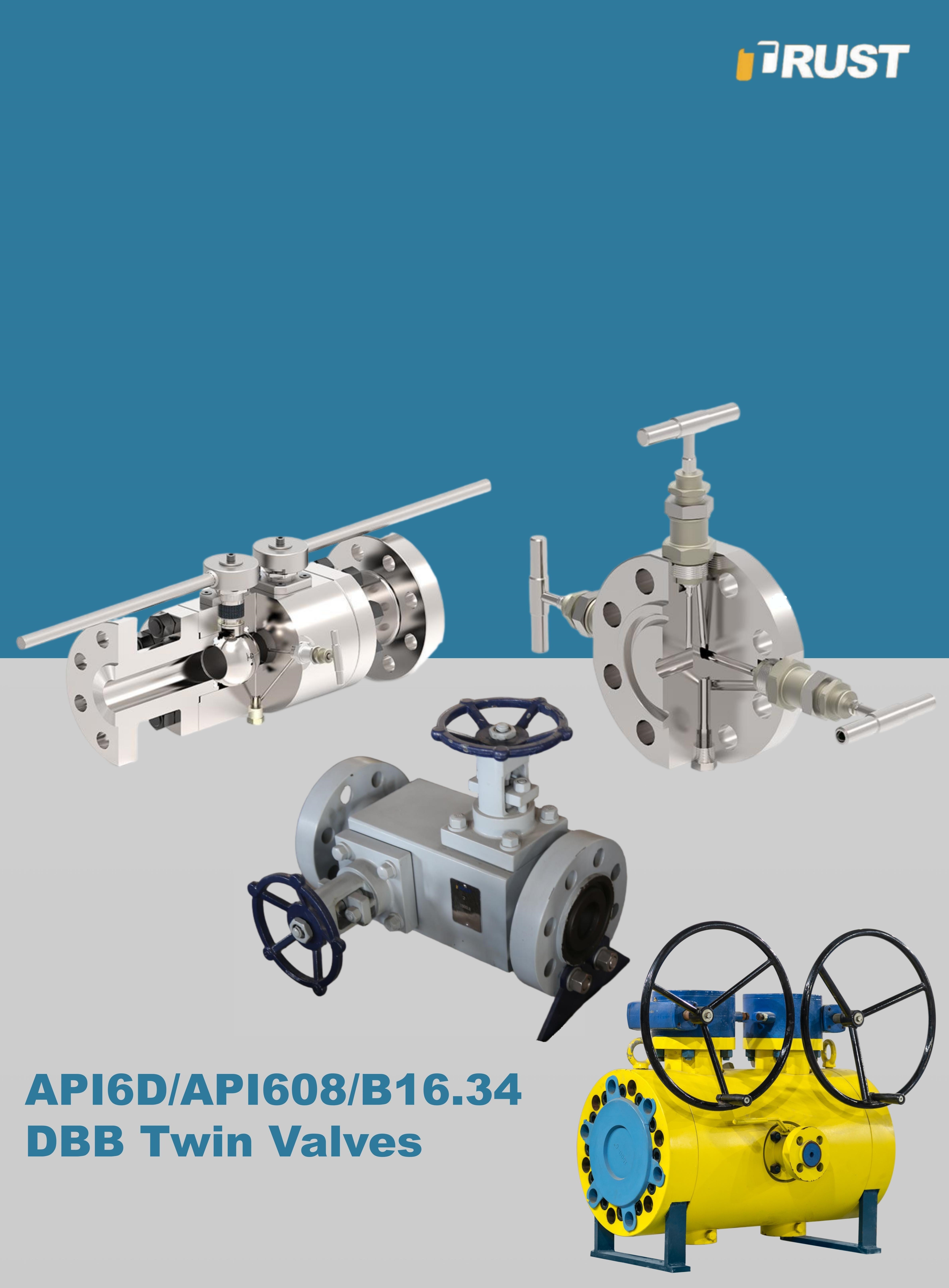 Double Block and Bleed (DBB) Valves