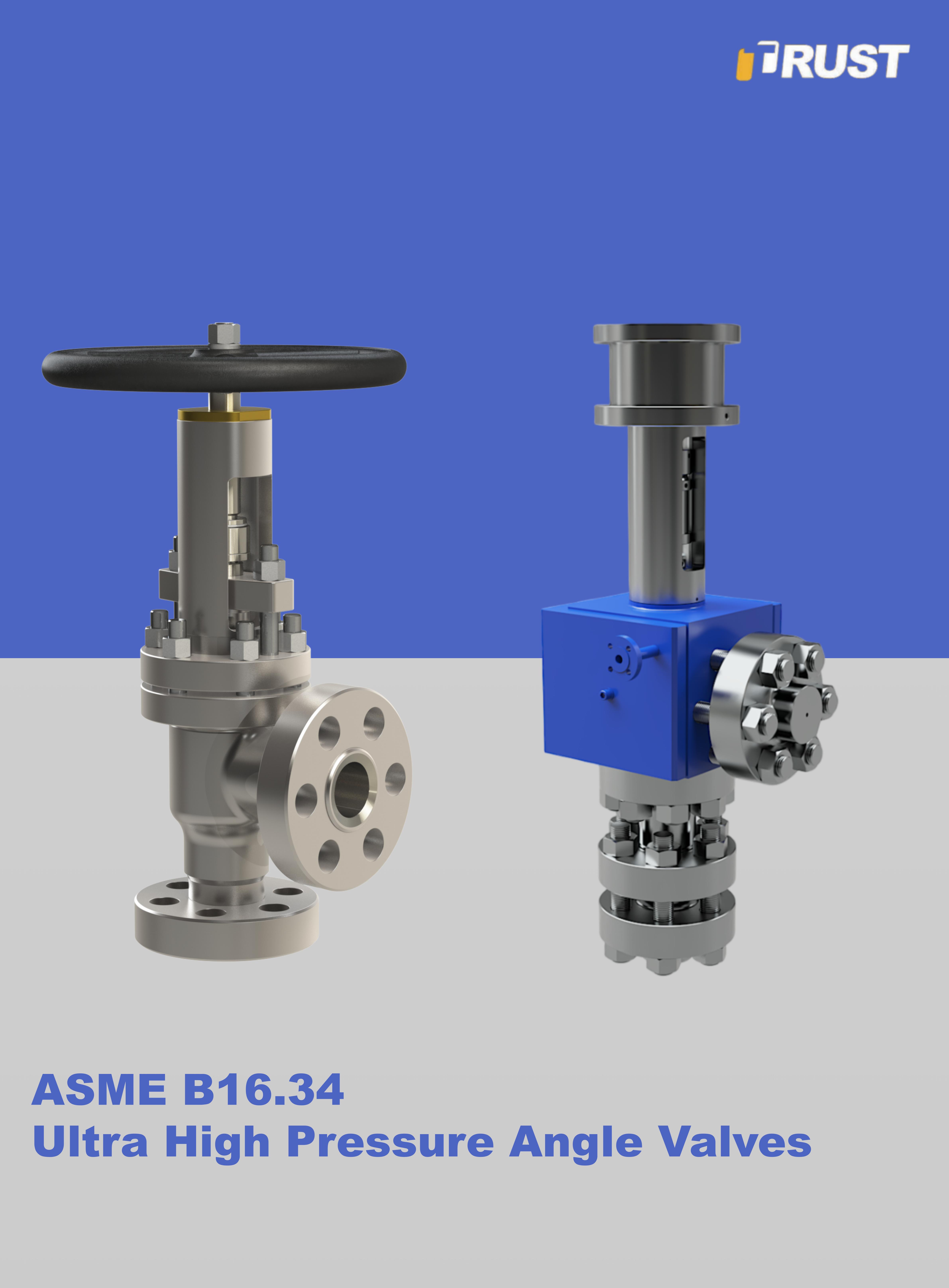 Ultra High Pressure Angle Type Valves
