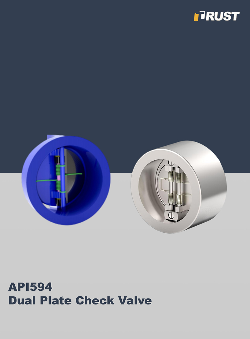 Dual Plate Check Valve
